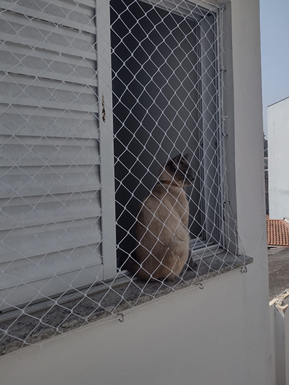 Rede de proteção para gatos Rede de proteção para gatos