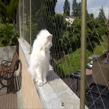 Redes de Proteção para Gatos Sacadas Jardim Paulista